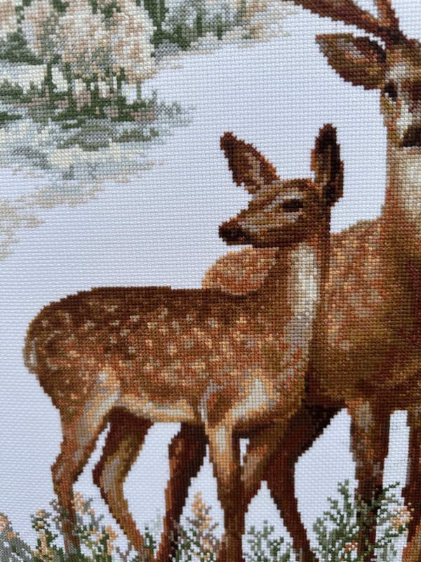 Broderisett Riolis "Rådyr" 40x50 cm