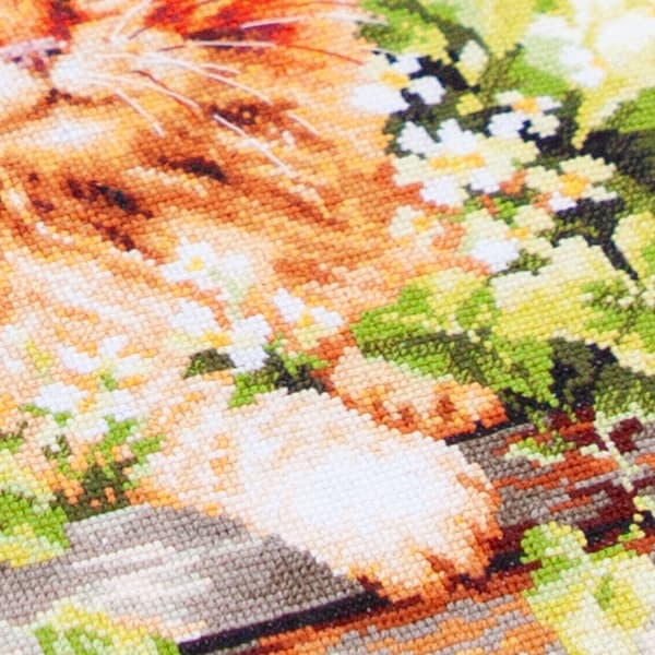 Broderikit Magic Needle "Den røde kat" 26x26 cm