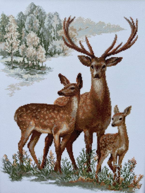 Broderisett Riolis "Rådyr" 40x50 cm