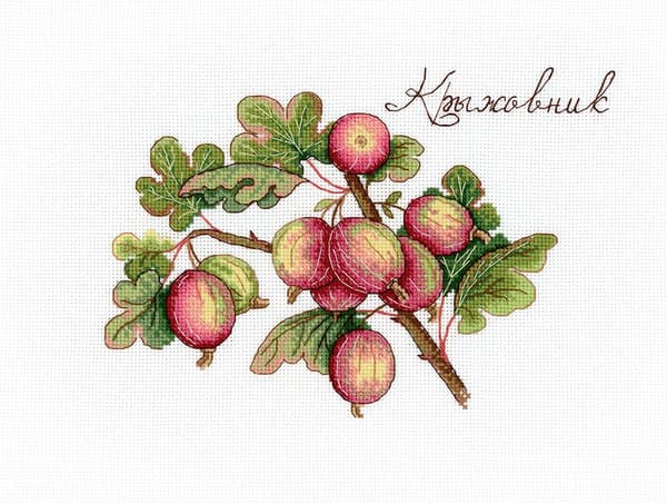 Broderikit MP Studia "Stikkelsbær" 15x20 cm