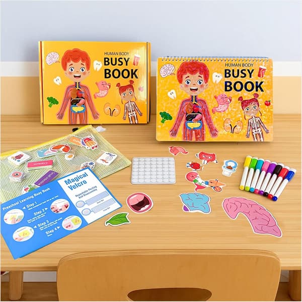 Människokroppens anatomi pedagogisk arbetsbok – material för tidig inlärning, 1 st (orange)