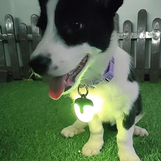 Hund nattlys – Hundeturlys – Hundelysstripe – Oppladbart – Hundehalsbånd – Vanntett LED egnet for nattsyn og turgåing – Svart