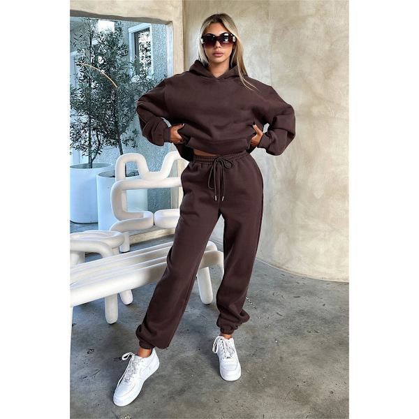 2024 Höst/Vinter Ny Europeisk och Amerikansk Enfärgad Långärmad Hoodie med Sammet, Dammode Casual Byxor Set Apricot color XXL