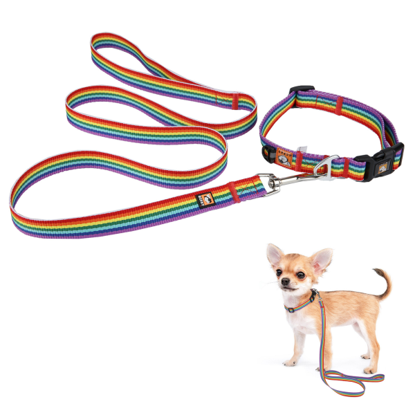 Dog leash collar set dog leash