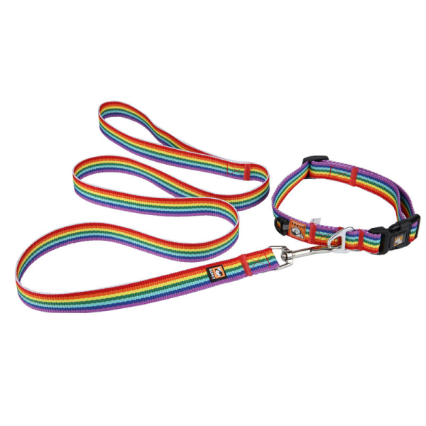 Dog leash collar set dog leash