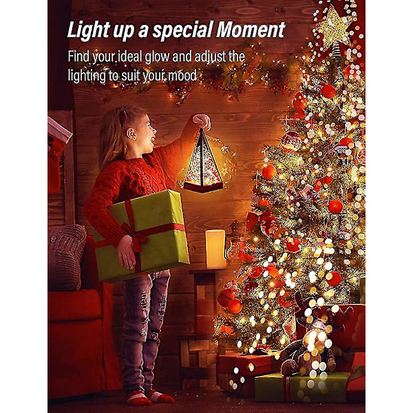 Batteridrivna String Lights. 2 Pack 3 * Aa batteridriven koppartråd Fjärrkontroll Timer Vattentät Led Firefly Lights