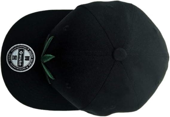 Bladbroderi Baseballkasket Mænd Kvinders Hip Hop Kasketter Snapbacks Hatte Solhat Casquette