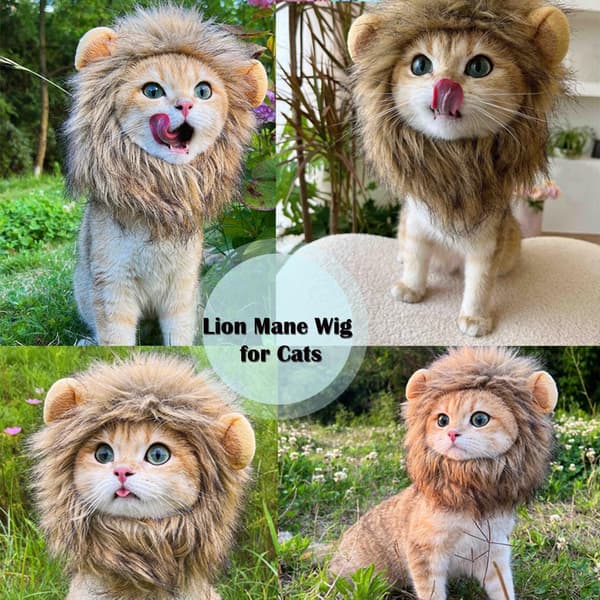 Lejonmanperuk för kattdräkt (ljusbrun, liten) S