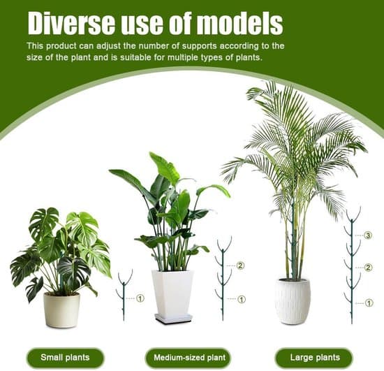 Stapelbart Monstera Växtstöd, Nya 2026 Monstera Växtstödspålar, Klätterväxtstöd, Växthållare med Fästband för Utomhusbruk (5-pack)