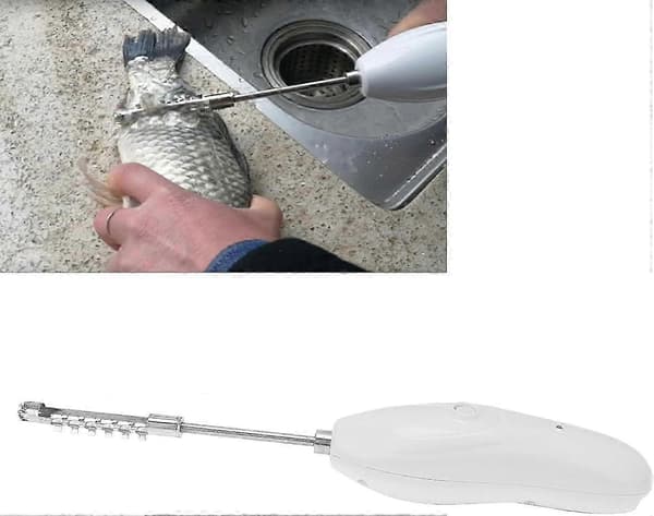 Elektrisk grønnsakskjernefjerner, elektrisk squashkjernefjerner, skjellskrape i rustfritt stål, multifunksjonell skjellskrape sjømatfjerner med utskiftbart blad