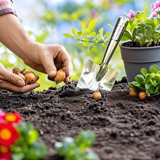Trädgårdsspade - trädgårdsredskap - rostfritt stål - för trädgården; handspade för plantering, omplantering, ogräsrensning och grävning
