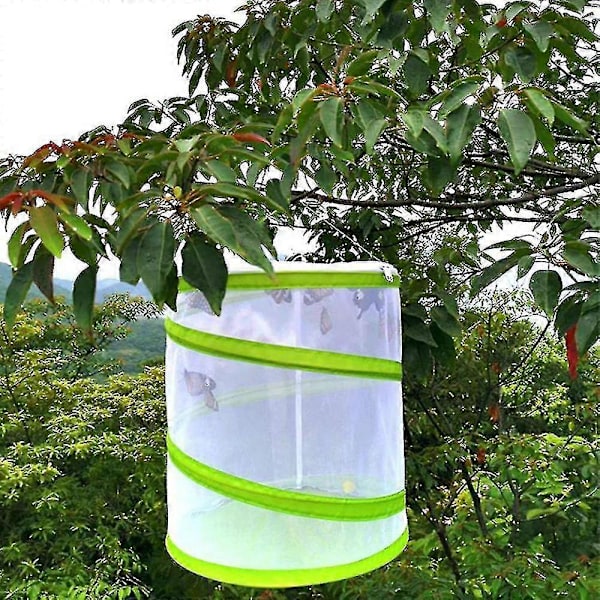 Insekt- og sommerfuglehabitatbur, foldbart net M