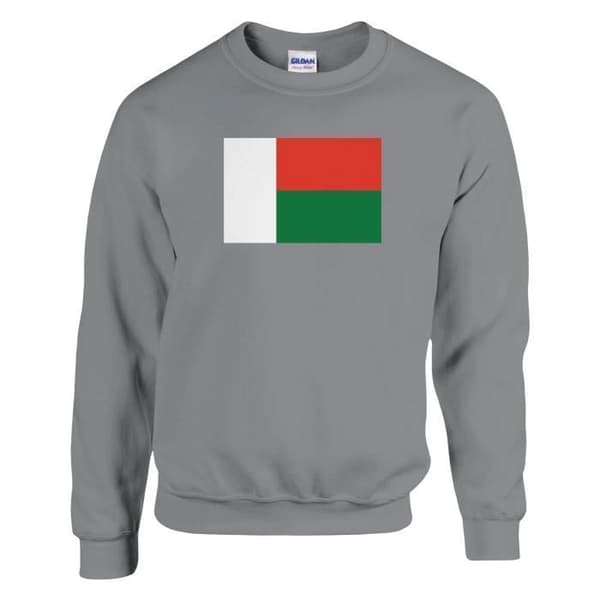 Huppari - PIXELFORMA - Madagaskarin lippu - Harmaa - Pitkät hihat - Mixed Grå jag