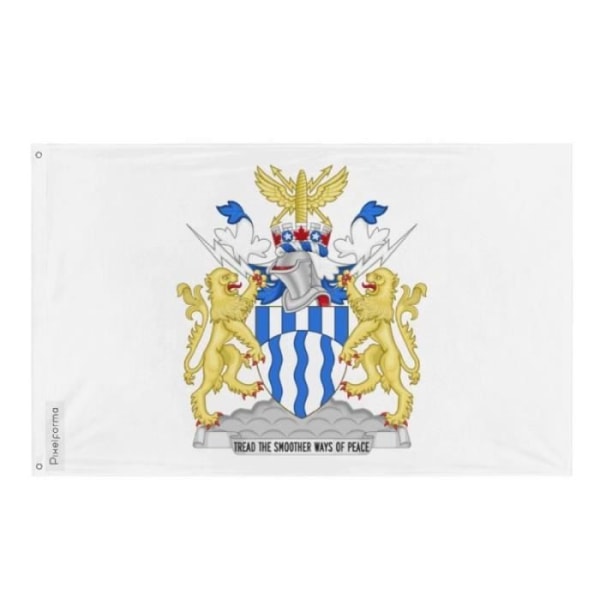 Niagara Falls flagga 128x192cm i polyester