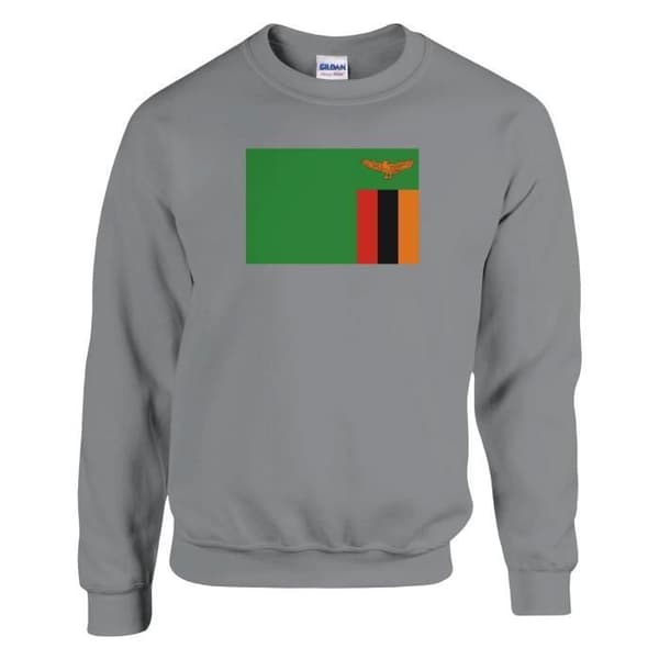 Huppari - PIXELFORMA - Sambian lippu - Harmaa - Pitkät hihat - Klassinen kaulus Grå S