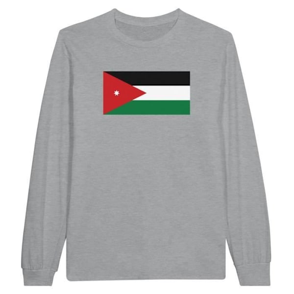 Jordan Flag langærmet T-shirt i grå Grå M