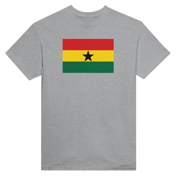 Ghana Flag T-paita harmaalla värillä Grå M