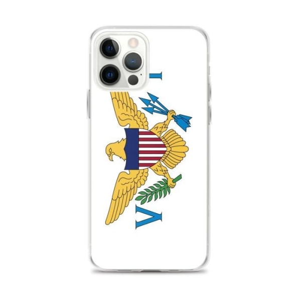 United States Virgin Islands Flag etui til iPhone 12 Pro Max