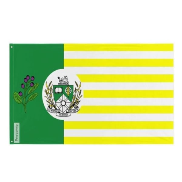 Saskatoon flag 96x144cm i polyester