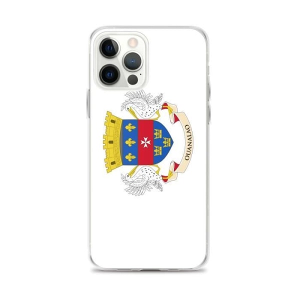 iPhone kotelo Flag of Saint Barthelemy iPhone 12 Pro Max