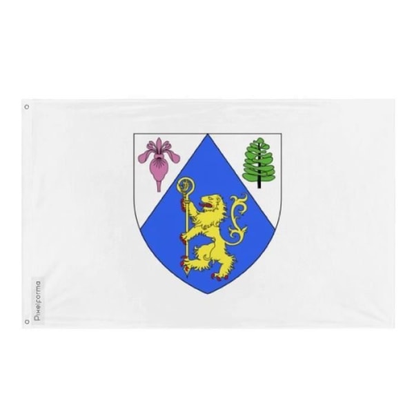 Saint-Jérôme flag 90x150cm i polyester