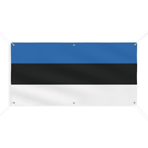 Banner Flag of Estonia 6 Øjer 120x240cm i polyester