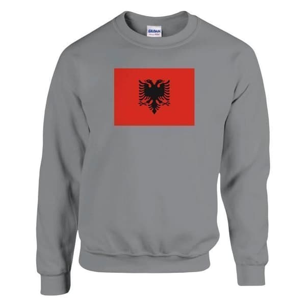 Sweatshirt - PIXELFORMA - Albanian lippu - Harmaa - Pitkät hihat - Unisex Grå jag