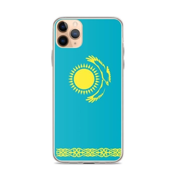 Officielt Kasakhstan flag iPhone 11 Pro Max cover