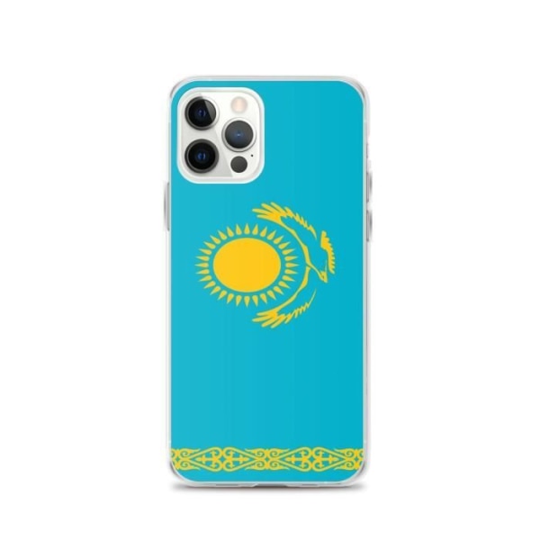 Flag of Kazakhstan iPhone 12 Pro-fodral