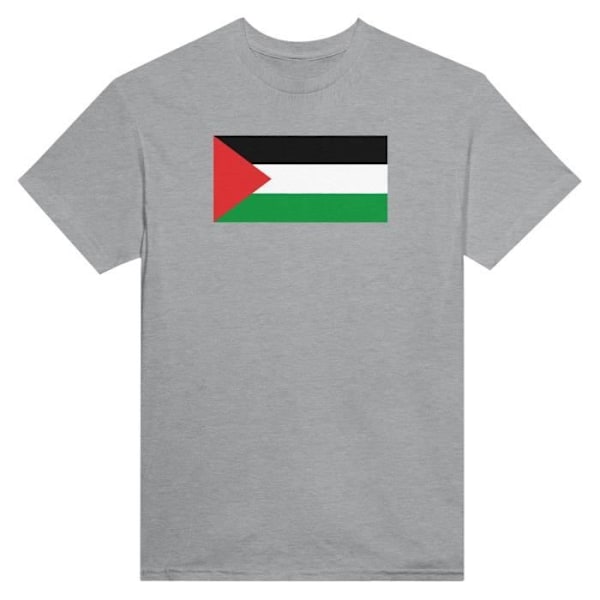 Palestiinan lipun T-paita harmaalla värillä Grå XXXXXL