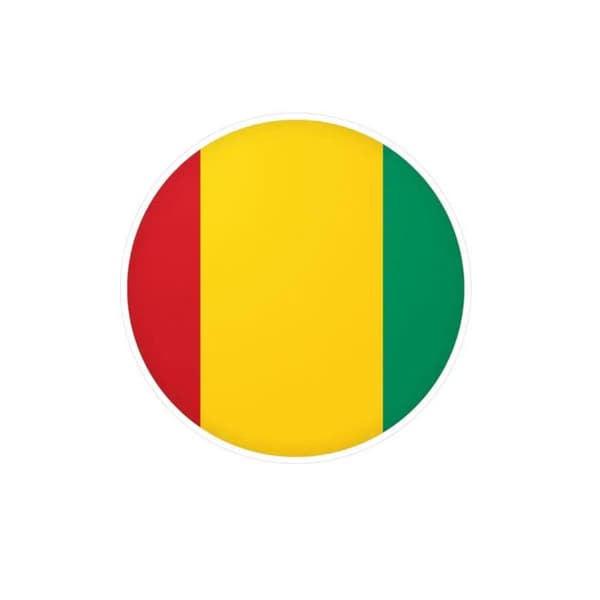 Guinea-lippu pyöreä tarra - 2 cm - 1000 kappaletta Flerfärgad