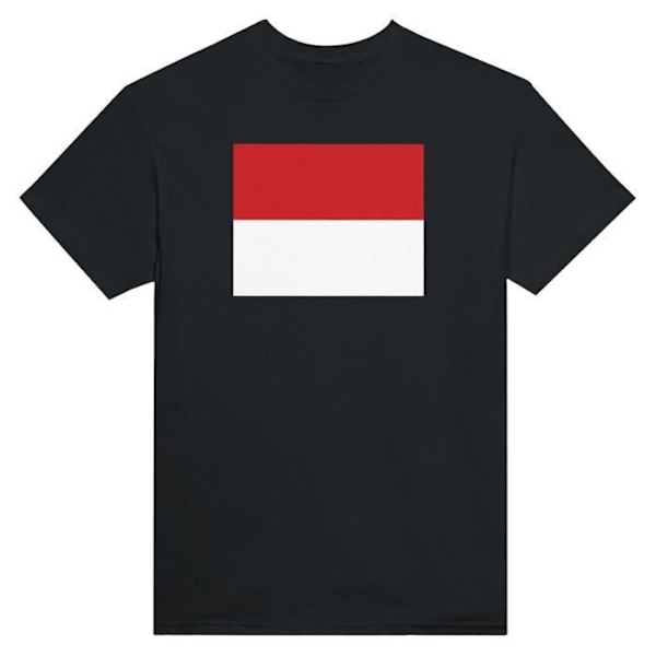 Monaco Flag T-paita mustana Svart XXXL