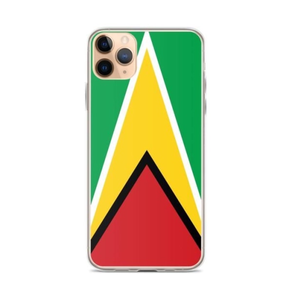 Guyana Flag iPhone 11 Pro Max etui