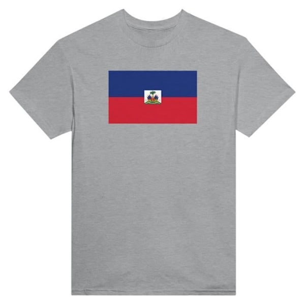 Haiti Flag T-paita harmaalla värillä Grå XL