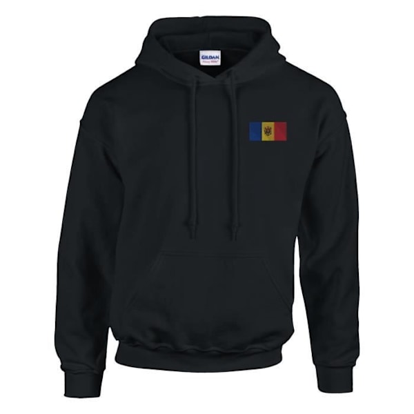 Moldaviens flagga broderi hoodie i svart Svart S