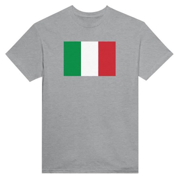 Italien Flag T-shirt i grå farve Grå XXXXL