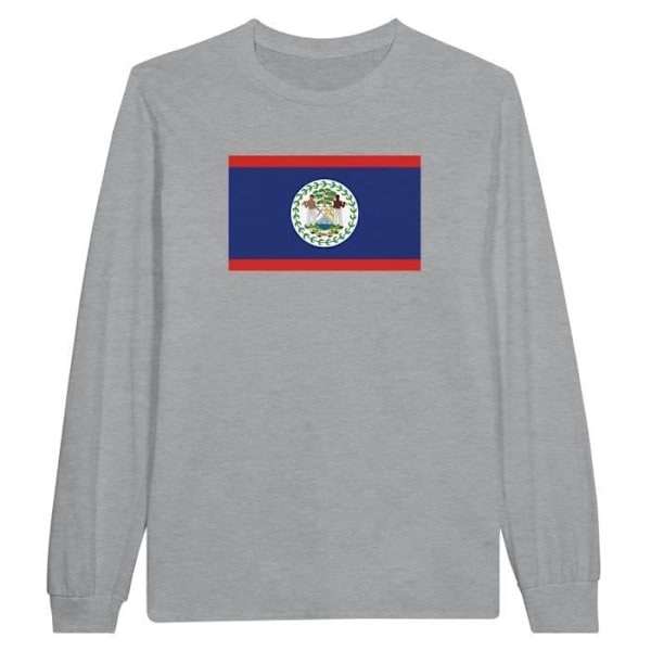 Langærmet Belize Flag T-shirt i grå Grå XXXL