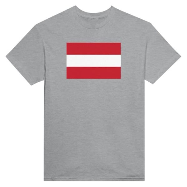 Österrike flagga T-shirt i grå färg Grå jag