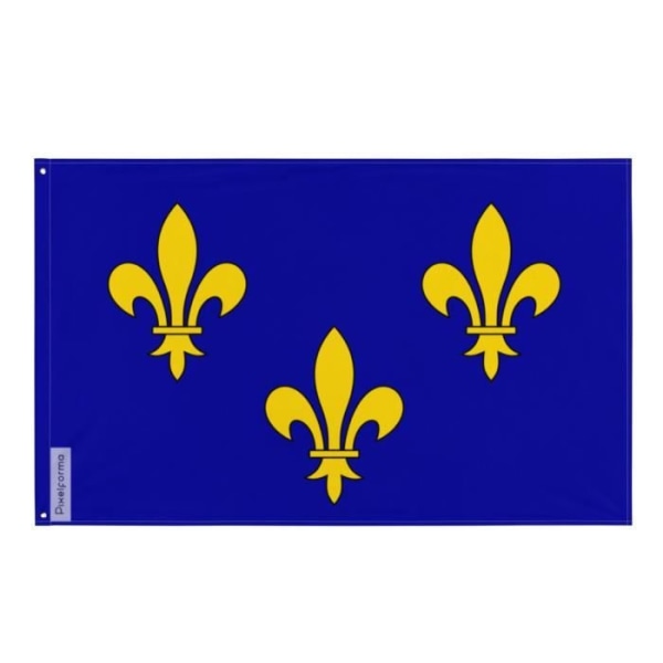 Île-de-France flag 90x150cm i polyester