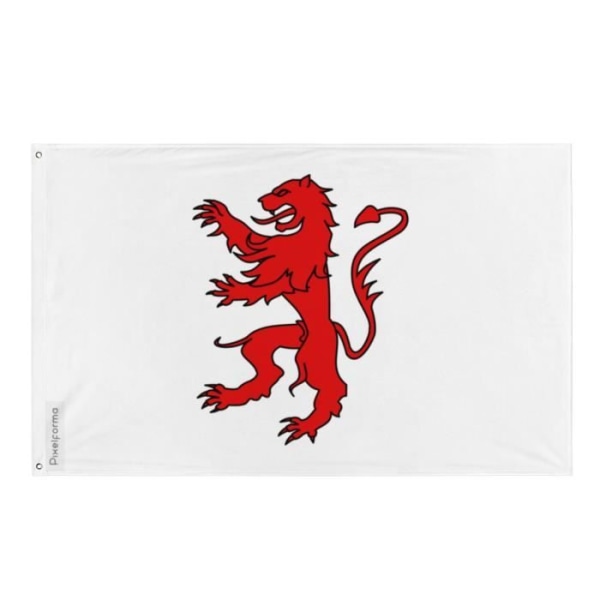 Gers flagga 64x96cm i polyester