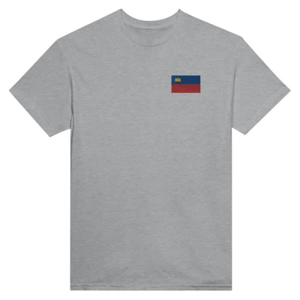 Liechtenstein Flag Broderi T-Shirt i Grå Grå XXXL