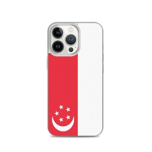 Singapore flag iPhone 13 Pro cover