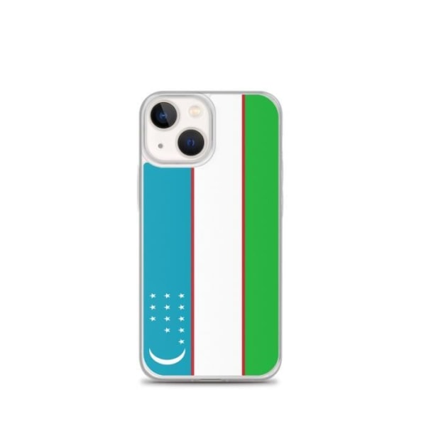 iPhonefodral Flag of Uzbekistan iPhone 13 mini