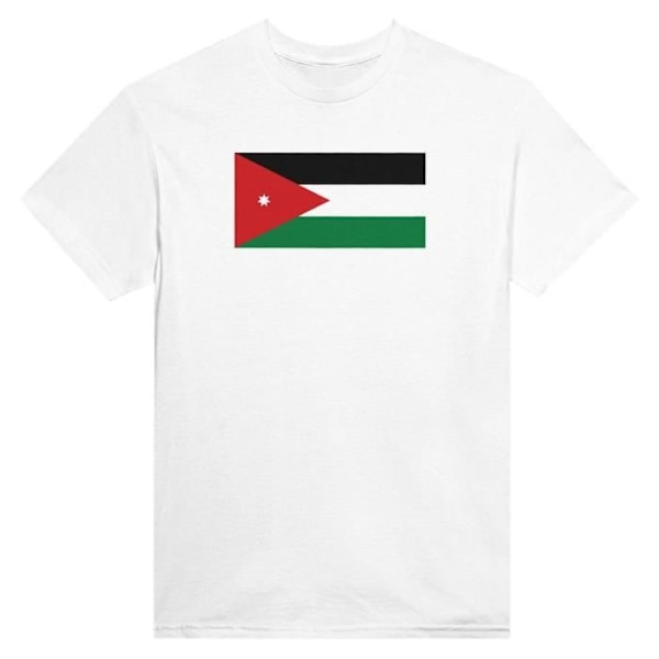 Jordan Flag T-paita valkoisena Vit M