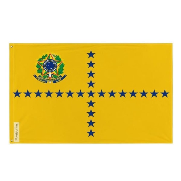 Brasiliens vicepresidents flagga 64x96cm i polyester