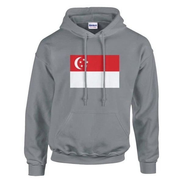 Singapore Flag -huppari harmaalla Grå XXXXXL