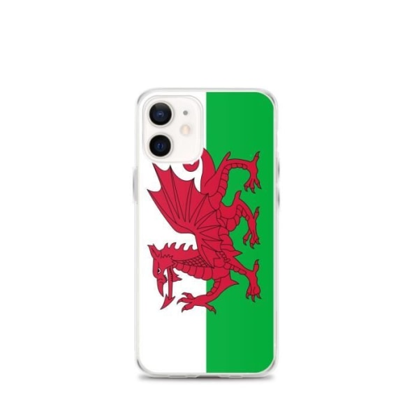 Wales Flag iPhone XS Max -kotelo