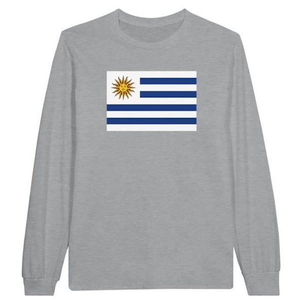 Uruguay Flag pitkähihainen T-paita harmaa Grå XXL