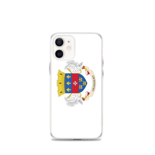 iPhone kotelo Flag of Saint Barthelemy iPhone 12 mini