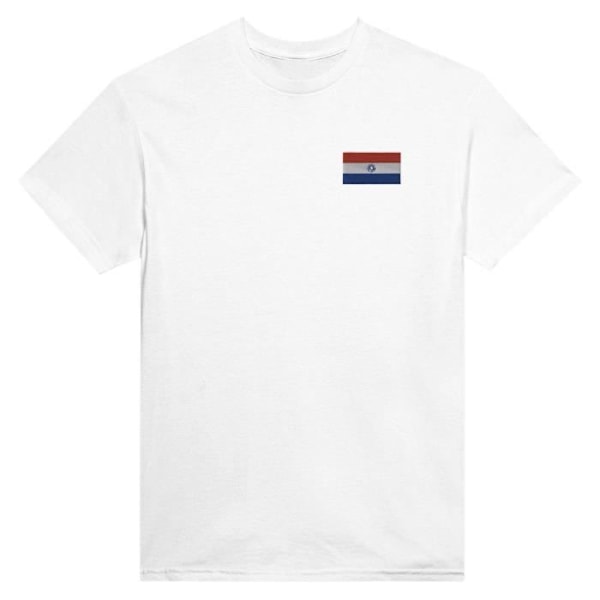 Paraguay Flag Broderi T-Shirt i Hvid Vit jag